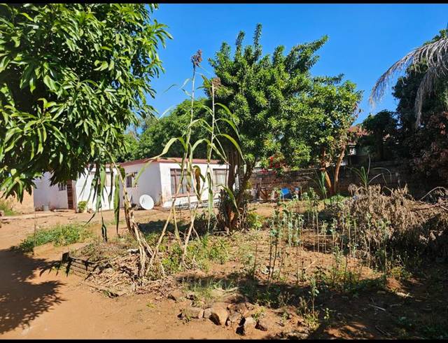 3 BEDROOM HOUSE FOR SALE IN SHAYANDIMA